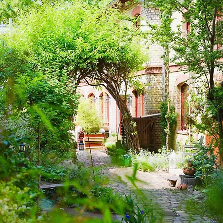 In Center Homestay szállás *