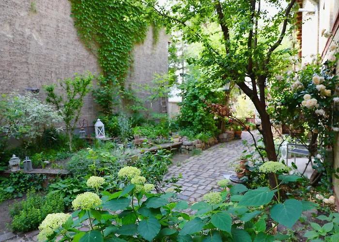 In Center Homestay szállás *