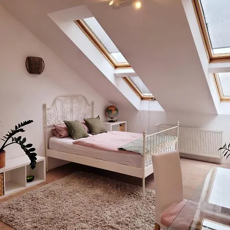 In Center Alloggio in famiglia