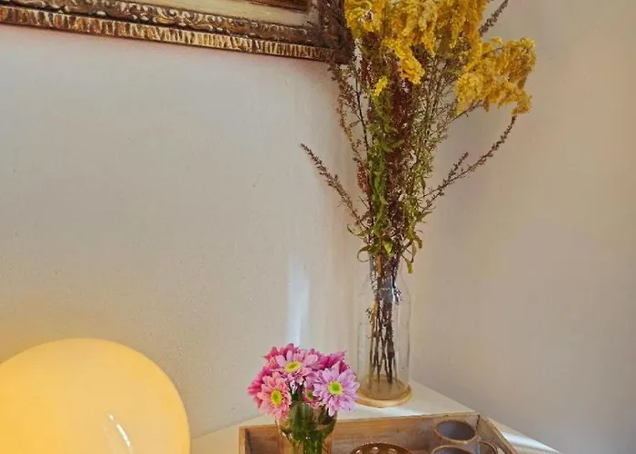 In Center Habitación en casa particular