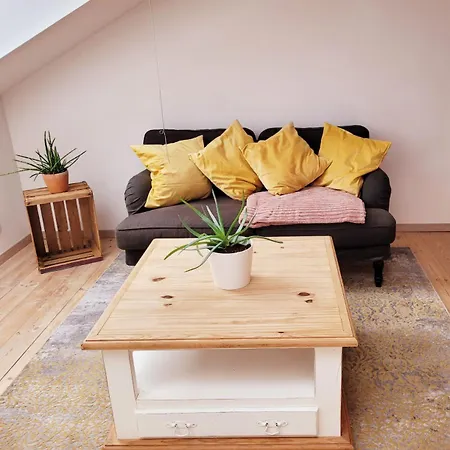Homestay In Center